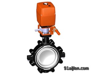 电动塑料阀门 +GF+电动蝶阀 141型凸耳式蝶阀,100-230V